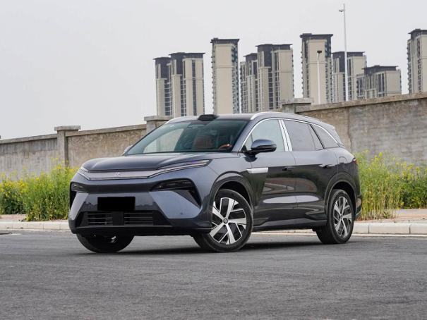 BYD TANG L EV 2025